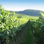 Weingut Landerer *