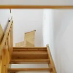 Apartman Weingut Landerer Vogtsburg