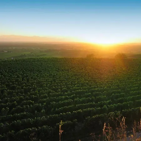 Weingut Landerer * 보츠부르크