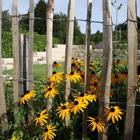 Weingut Landerer 아파트