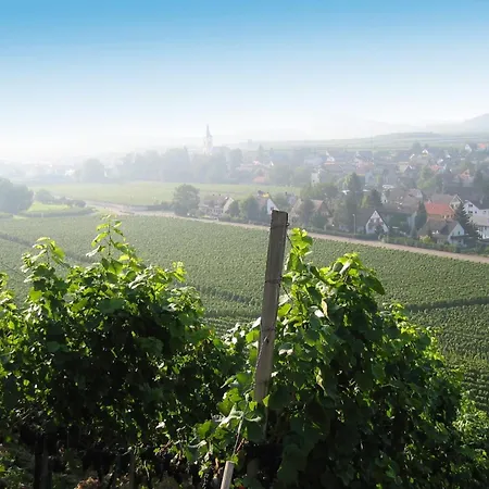 Apartman Weingut Landerer