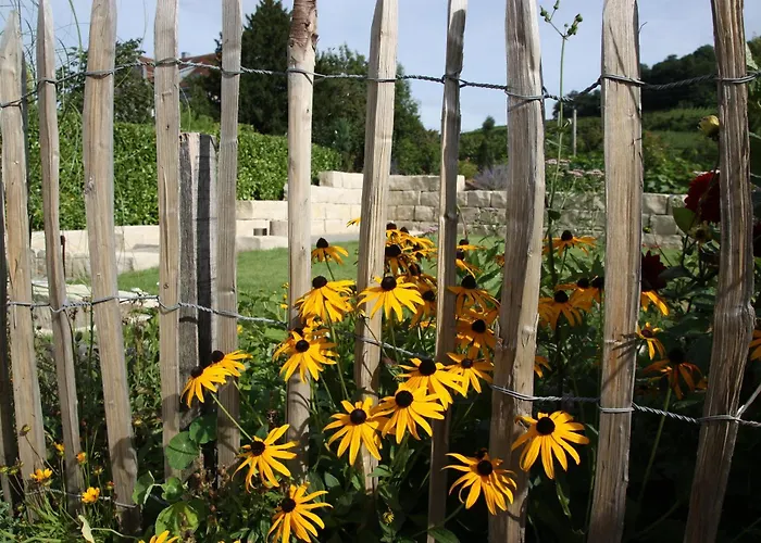Weingut Landerer Appartement
